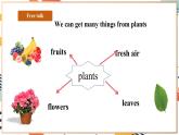 人教pep版英语三年级上册Unit4 Plants around us Part B let's talk 课件+单元整体教案 +素材