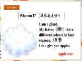 人教pep版英语三年级上册Unit4 Plants around us Part C reading time课件+单元整体教学设计+素材