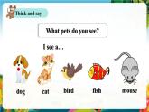 【新教材新课标】pep人教版英语三年级上册Unit3 Amazing animals Part A let's talk（课件+素材）
