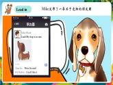 【新教材新课标】pep人教版英语三年级上册Unit3 Amazing animals Part A let's talk（课件+素材）