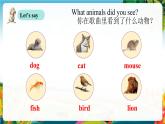 【新教材新课标】pep人教版英语三年级上册Unit3 Amazing animals Part B let's talk（课件+素材）