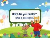 三上英语译林新版Unit 3 Are you Su Hai？Wrap up教学课件