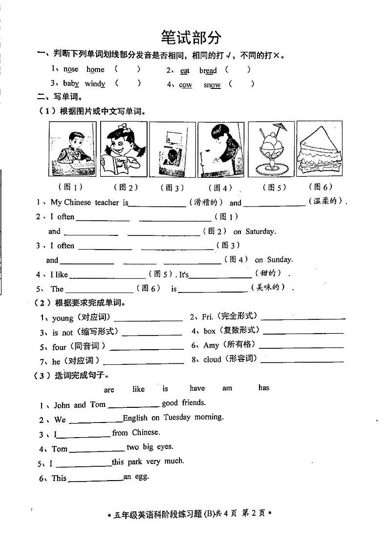 广东省汕头市潮阳区2024-2025学年五年级上学期11月期中英语试题第2页