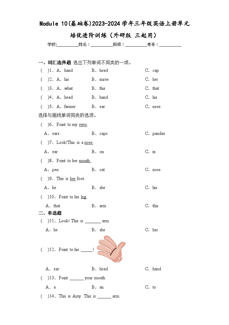 Module 10(基础卷)三年级英语上册单元培优进阶训练（外研版 三起用）第1页