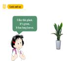 滬教牛津版(六三制一起)四下 Module 4 Unit 10《My garden》Period 2 課件+單元教案+素材