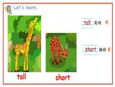 Module 2 Unit 2 That man is short.（课件）小学三年级英语下册同步精品（外研版三起）
