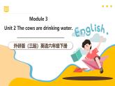外研版（三起）英語六下 Module 3 Unit 2《The cows are drinking water》課件+單元教案