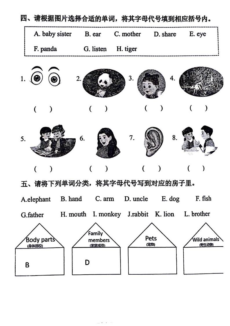山东省德州市陵城区多校2024-2025学年三年级上学期期中英语试题第2页