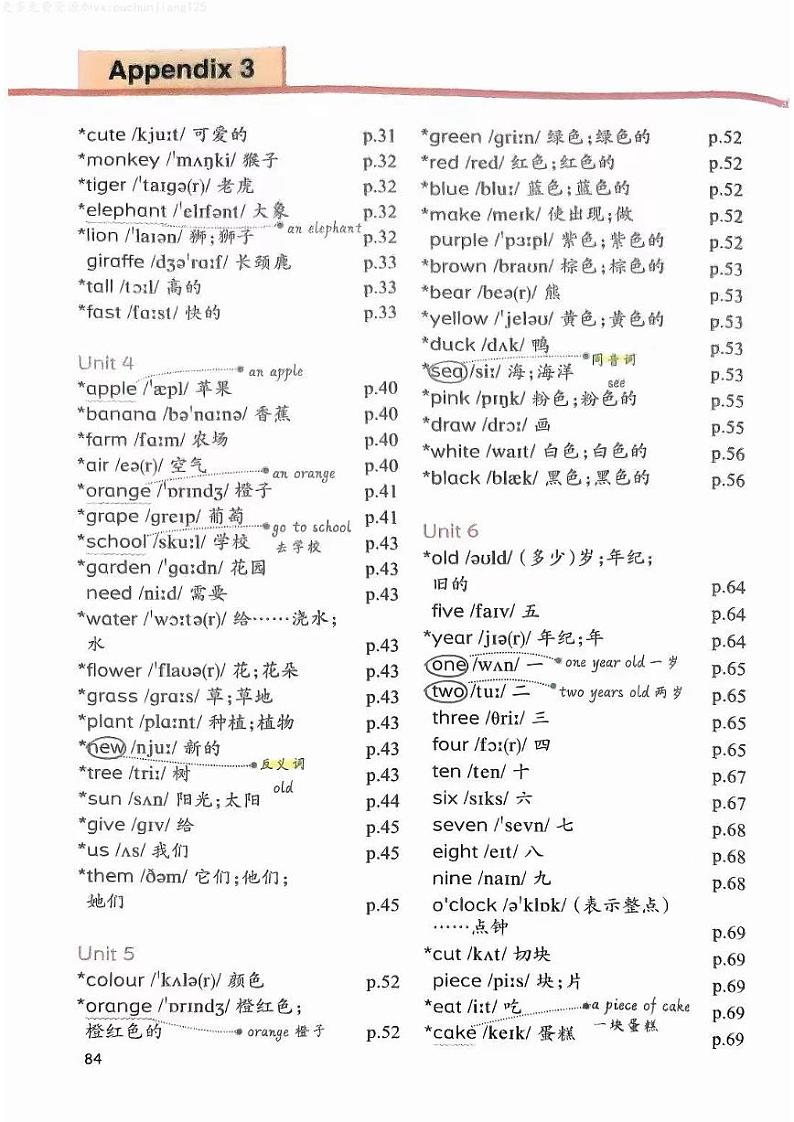 24秋新版人教PEP三年级英语上册期末复习 课后单词学案第2页