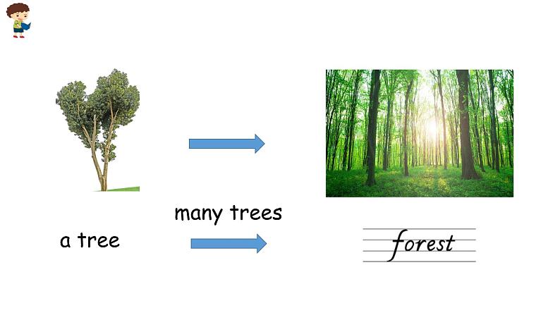 小学英语人教PEP版五年级上册 Unit 6  In a nature park Part A Let’s learn & Draw and ask（课件）第7页