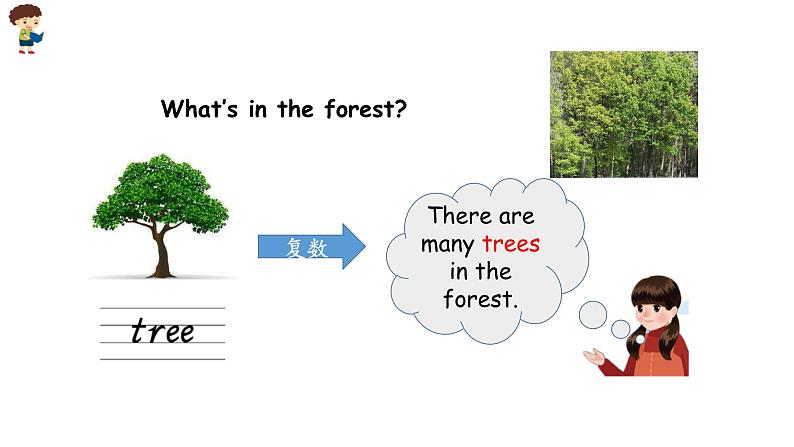 小学英语人教PEP版五年级上册 Unit 6  In a nature park Part B Let’s learn & Write（课件）第8页