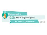 小学英语新人教版PEP三年级上册Unit 4Part ALet's talk & Ask and answer作业课件2024秋