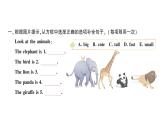 小学英语新人教版PEP三年级上册Unit 3Part BStart to read作业课件2024秋
