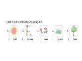 小学英语新人教版PEP三年级上册Unit 4Part BLet's learn & Listen and chant作业课件2024秋