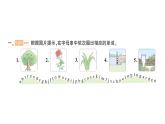 小学英语新人教版PEP三年级上册Unit 4Part BLet's talk & Look and discuss作业课件2024秋