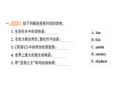 小学英语新人教版PEP三年级上册Unit 3Part C Project & Reading time作业课件2024秋
