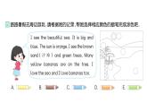 小学英语新人教版PEP三年级上册Unit 5Part A (２) Let's learn & Listen and chant作业课件2024秋