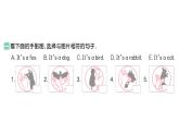 小学英语新人教PEP版三年级上册Unit 3Part B (１) Let's talk & Play with hand shadows作业课件2024秋