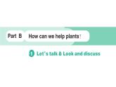 小学英语新人教版PEP三年级上册Unit 4Part B (１) Let's talk & Look and discuss作业课件2024秋
