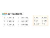 小学英语新人教版PEP三年级上册Unit 4Part B (２) Let's learn & Listen and chant作业课件2024秋
