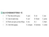 小学英语新人教版PEP三年级上册Unit 4Part B (３) Start to read作业课件2024秋