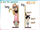 Module 5 Unit 1 It's big and light（课件+素材）-2024-2025学年外研版（三起）英语五年级下册