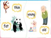 Module 5 Unit 1 It's big and light（课件+素材）-2024-2025学年外研版（三起）英语五年级下册
