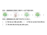小学英语新人教版PEP三年级上册Unit 5Part C Project & Reading time作业课件2024秋