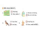 小學(xué)英語新人教版PEP三年級(jí)上冊(cè)Unit3 Part A作業(yè)課件（2024秋）