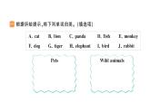 小学英语新人教版PEP三年级上册Unit3 Part B作业课件（2024秋）