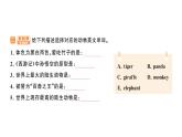 小学英语新人教版PEP三年级上册Unit3 Part B作业课件（2024秋）