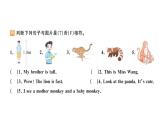 小学英语新人教版PEP三年级上册Unit3 Part B作业课件（2024秋）