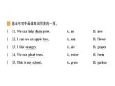 小學(xué)英語新人教版PEP三年級上冊Unit4 Part B作業(yè)課件（2024秋）