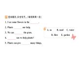 小學(xué)英語新人教版PEP三年級上冊Unit4 Part B作業(yè)課件（2024秋）