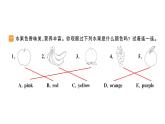 小學(xué)英語新人教版PEP三年級(jí)上冊(cè)Unit5 Part B作業(yè)課件（2024秋）