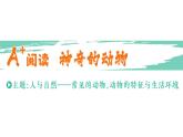 小學(xué)英語新人教版PEP三年級上冊Unit 3A+ 閱讀神奇的動(dòng)物作業(yè)課件2024秋