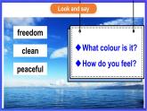 湘少版（三起）英语三下 Unit 3《What colour is this balloon 》 Let's Konw More课件+素材