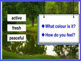 湘少版（三起）英语三下 Unit 3《What colour is this balloon 》 Let's Konw More课件+素材