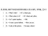 小学英语新外研版三年级上册Unit 3综合素养评价（笔试部分）作业课件2024秋