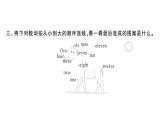 小学英语新外研版三年级上册Unit 4第三课时 Hit it big & Wrap up & Let's explore作业课件2024秋
