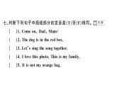 小学英语新外研版三年级上册Unit 5综合素养评价（笔试部分）作业课件2024秋