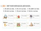 小学英语新外研版三年级上册Unit 6第三课时 Hit it big & Wrap up & Let's explore作业课件2024秋