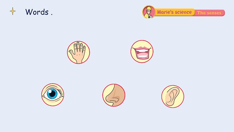 Unit 6 My face lesson3（课件）剑桥国际少儿英语 Kid's box 第一册第2页