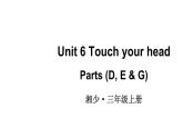 小学英语新湘少版三年级上册Unit 6 Touch your head第2课时教学课件2024秋