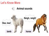 小学英语新湘少版三年级上册Let's Know More Animal sounds教学课件2024秋