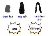 小學(xué)英語(yǔ)新滬教牛津版三年級(jí)上冊(cè)Unit 3 第4課時(shí)（Extend）教學(xué)課件2024秋