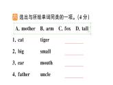 小学英语新人教版PEP三年级上册Units 1~3 综合素养评价（笔试部分）作业课件（2024秋）