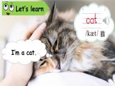 小學(xué)英語(yǔ)新滬教牛津版三年級(jí)上冊(cè)Unit6 第1課時(shí)（Get ready）教學(xué)課件2024秋