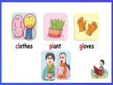 沪教牛津版（五四制）英语三下Module 3 Unit 2《Colours Colours of the natural places》课件+视频