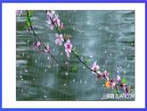 沪教牛津版（五四制）英语三下Module 3 Unit 3《Seasons Period 1 Activities in different seasons》课件